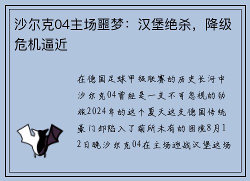 沙尔克04主场噩梦：汉堡绝杀，降级危机逼近